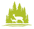 Woodforest