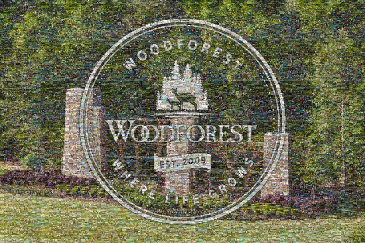 Woodforest Montgomery TX 10 Year Photo Mosaic