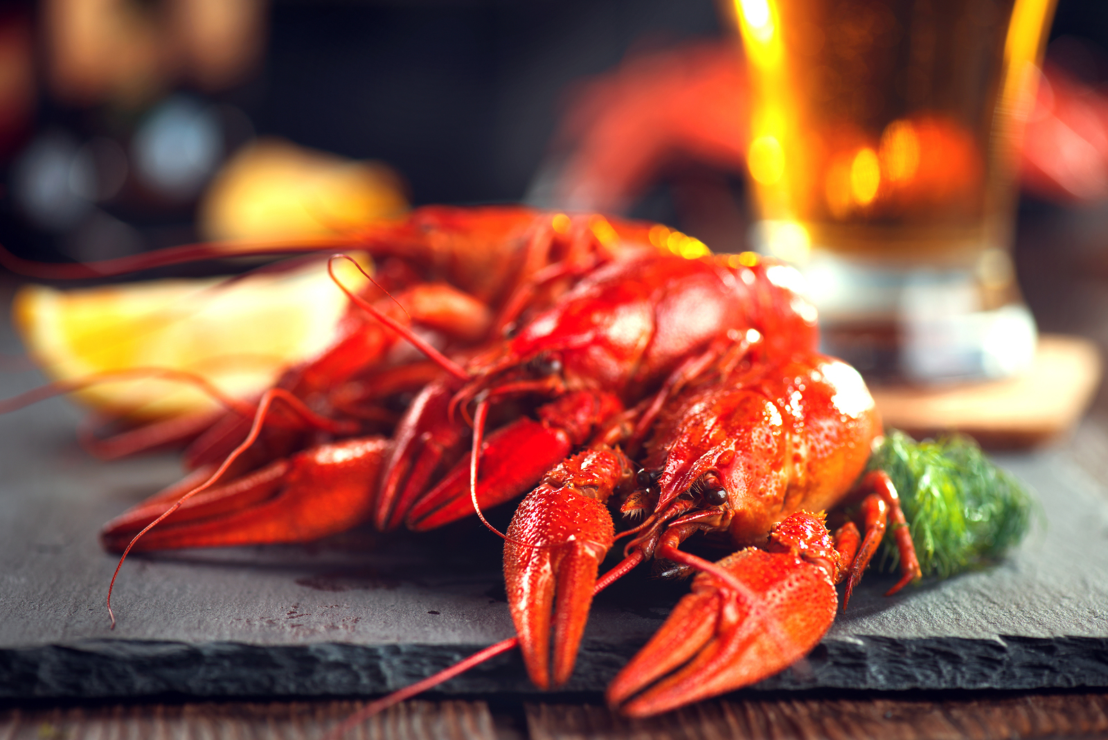 Woodforest Kicks Off Houston’s Largest Home Tour with Spicy Carnival